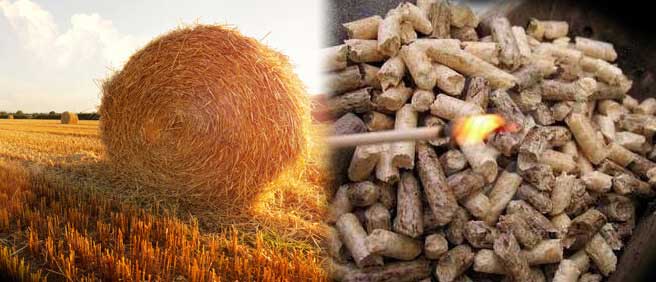 秸稈顆粒機可將廢棄的農作物壓制成養殖飼料和秸稈燃料顆粒